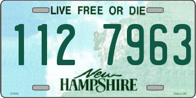 NH license plate 1127963