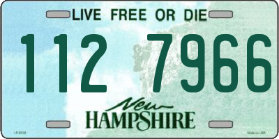 NH license plate 1127966