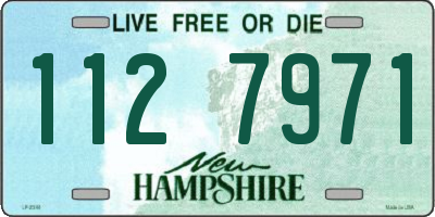 NH license plate 1127971