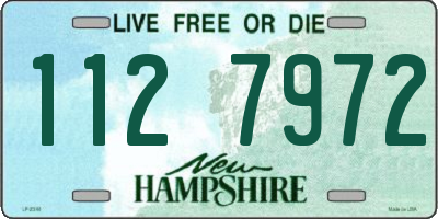 NH license plate 1127972