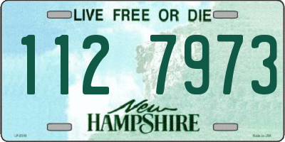 NH license plate 1127973