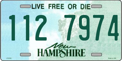 NH license plate 1127974