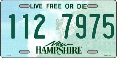 NH license plate 1127975