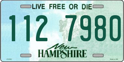 NH license plate 1127980