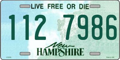 NH license plate 1127986