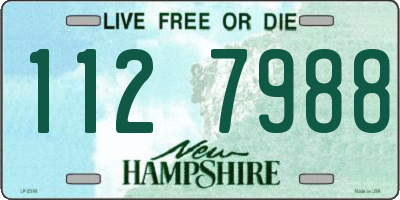NH license plate 1127988