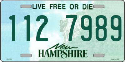 NH license plate 1127989