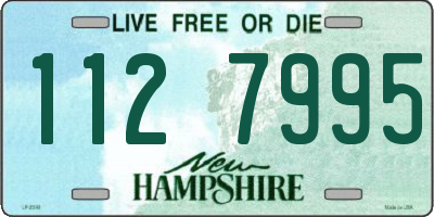 NH license plate 1127995