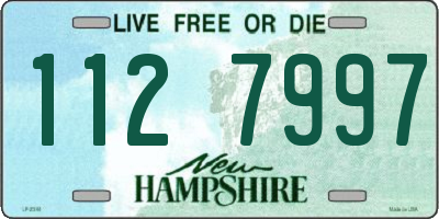 NH license plate 1127997