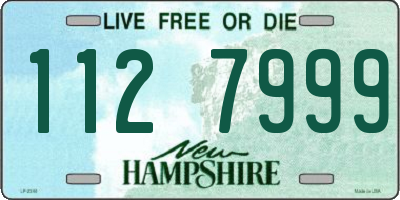 NH license plate 1127999