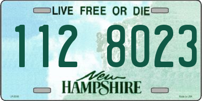NH license plate 1128023
