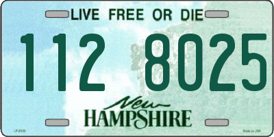 NH license plate 1128025