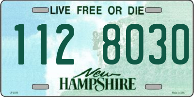 NH license plate 1128030