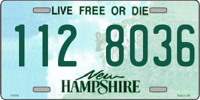 NH license plate 1128036