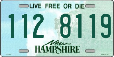 NH license plate 1128119