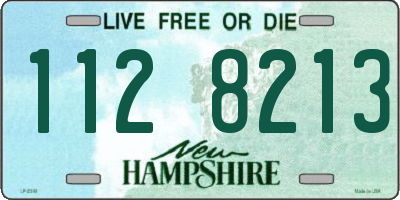 NH license plate 1128213