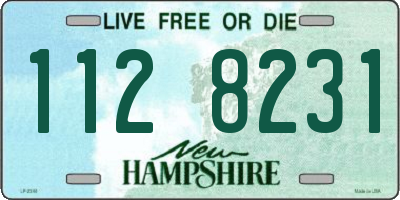 NH license plate 1128231