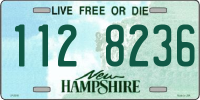 NH license plate 1128236
