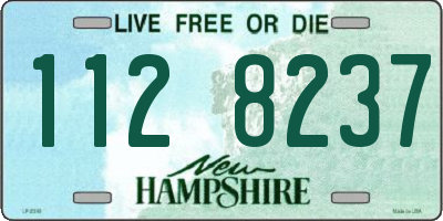 NH license plate 1128237