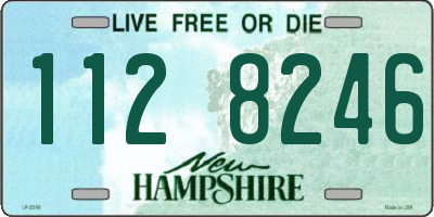 NH license plate 1128246
