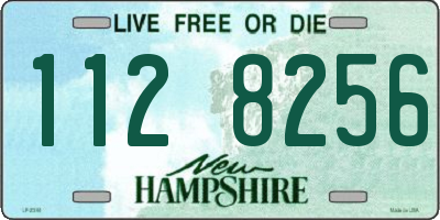NH license plate 1128256