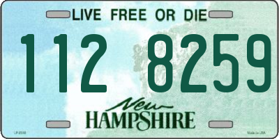 NH license plate 1128259