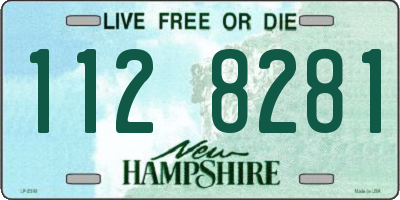 NH license plate 1128281