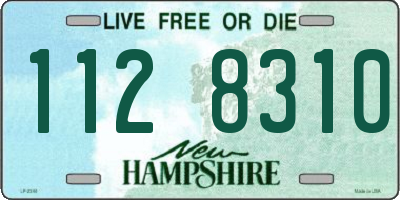 NH license plate 1128310