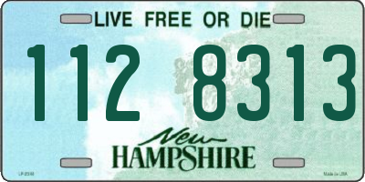 NH license plate 1128313
