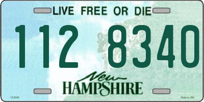 NH license plate 1128340