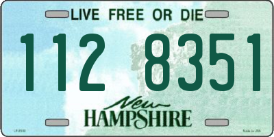 NH license plate 1128351