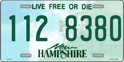 NH license plate 1128380