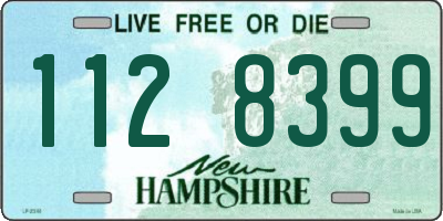 NH license plate 1128399