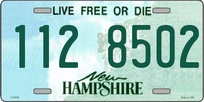 NH license plate 1128502