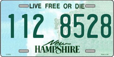 NH license plate 1128528
