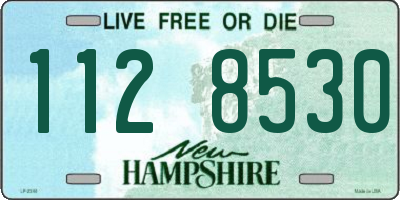 NH license plate 1128530