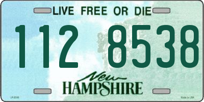 NH license plate 1128538