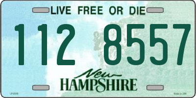NH license plate 1128557