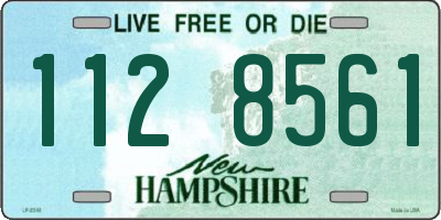 NH license plate 1128561