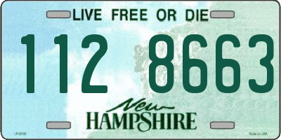 NH license plate 1128663