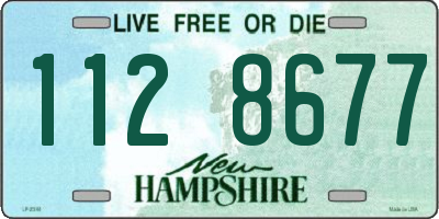 NH license plate 1128677