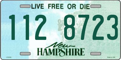 NH license plate 1128723