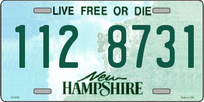 NH license plate 1128731