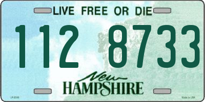 NH license plate 1128733