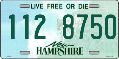NH license plate 1128750