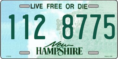 NH license plate 1128775