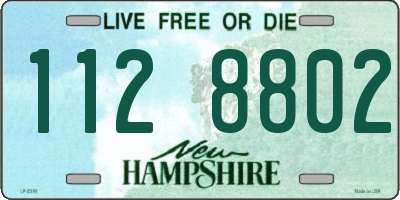 NH license plate 1128802