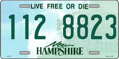 NH license plate 1128823