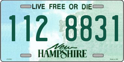 NH license plate 1128831