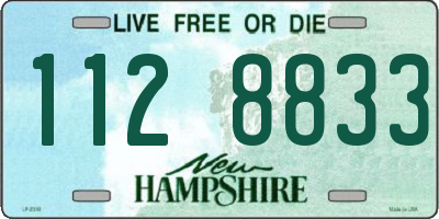 NH license plate 1128833